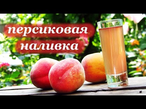 Рецепт наливки из персиков от Алкофана