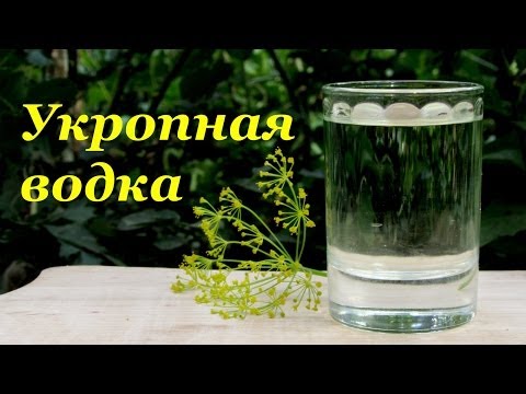 Укропная водка, простой летний рецепт